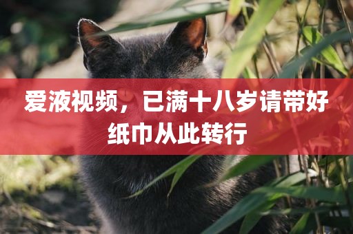 爱液视频，已满十八岁请带好纸巾从此转行