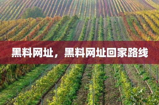 黑料网址，黑料网址回家路线