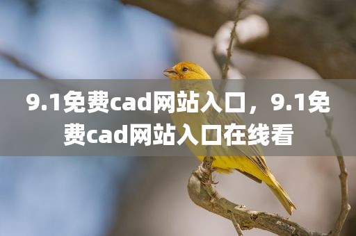 9.1免费cad网站入口，9.1免费cad网站入口在线看