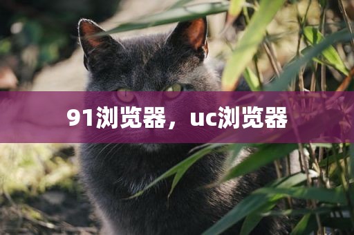 91浏览器，uc浏览器