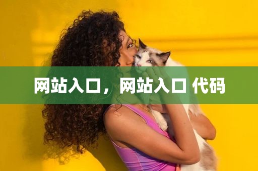 网站入口，网站入口 代码