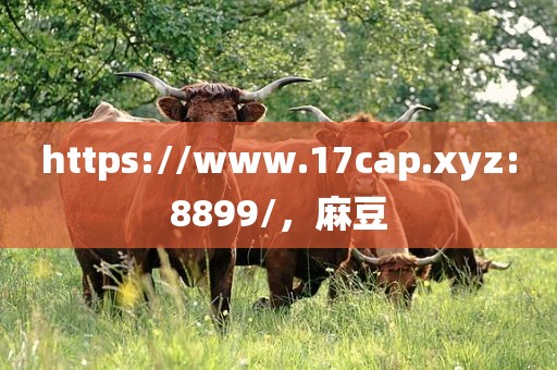 https://www.17cap.xyz:8899/，麻豆