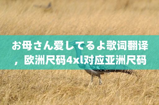 お母さん爱してるよ歌词翻译，欧洲尺码4xl对应亚洲尺码