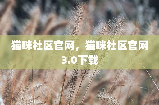 猫咪社区官网，猫咪社区官网3.0下载