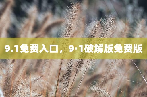 9.1免费入口，9·1破解版免费版