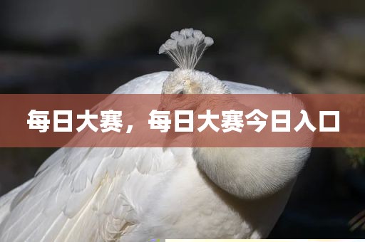 每日大赛，每日大赛今日入口