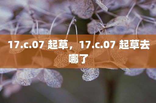 17.c.07 起草，17.c.07 起草去哪了
