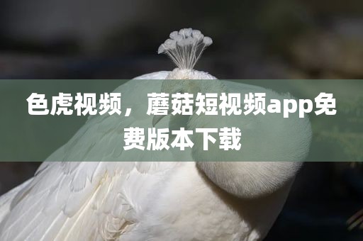 色虎视频，蘑菇短视频app免费版本下载
