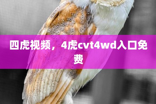 四虎视频，4虎cvt4wd入口免费