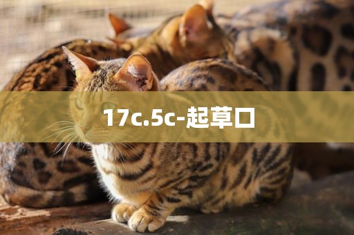 17c.5c-起草口