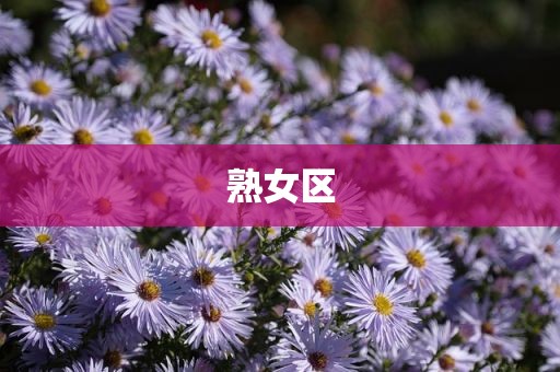 熟女区