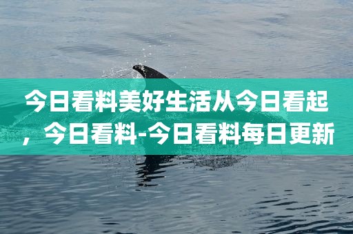 今日看料美好生活从今日看起，今日看料-今日看料每日更新