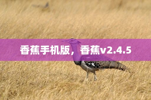 香蕉手机版，香蕉v2.4.5