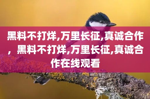 黑料不打烊,万里长征,真诚合作，黑料不打烊,万里长征,真诚合作在线观看