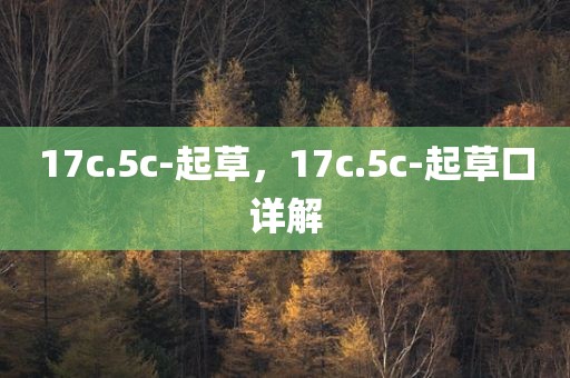 17c.5c-起草，17c.5c-起草口详解