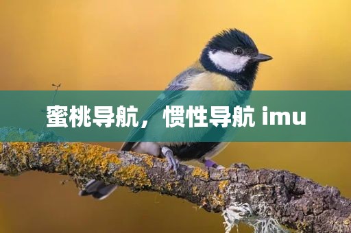 蜜桃导航，惯性导航 imu