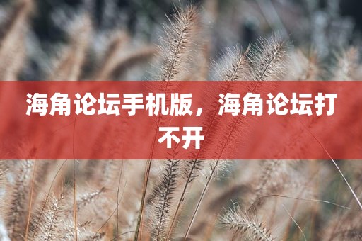 海角论坛手机版，海角论坛打不开