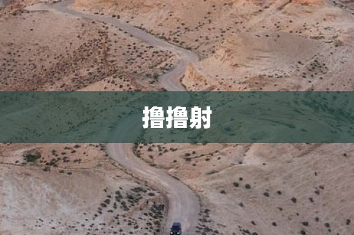撸撸射