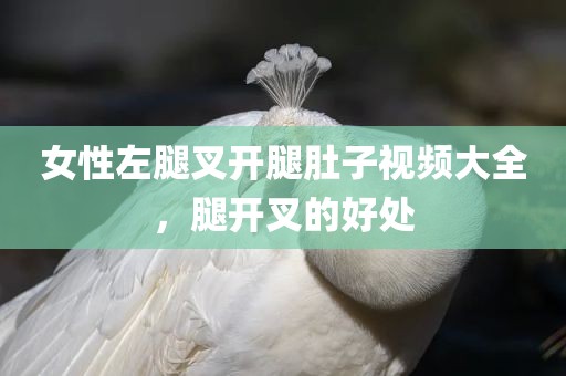 女性左腿叉开腿肚子视频大全，腿开叉的好处