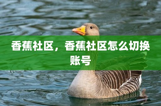 香蕉社区，香蕉社区怎么切换账号
