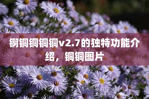 锕铜铜铜铜v2.7的独特功能介绍，铜铜图片