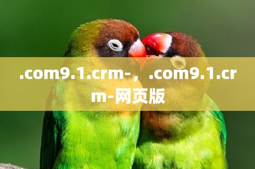 .com9.1.crm-，.com9.1.crm-网页版