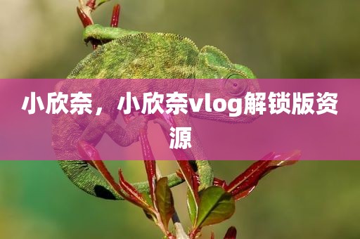 小欣奈，小欣奈vlog解锁版资源