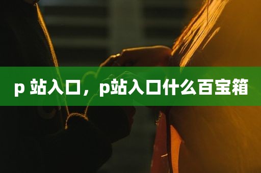 p 站入口，p站入口什么百宝箱