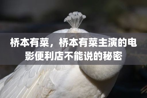 桥本有菜，桥本有菜主演的电影便利店不能说的秘密