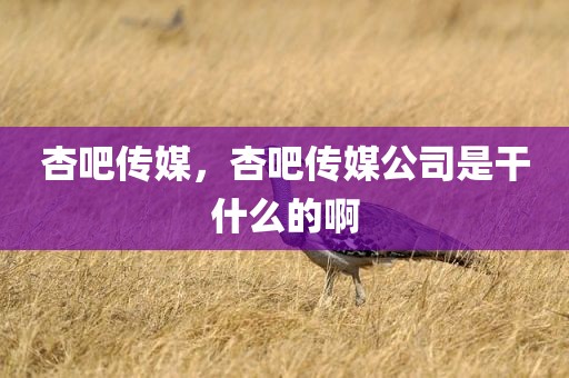 杏吧传媒，杏吧传媒公司是干什么的啊