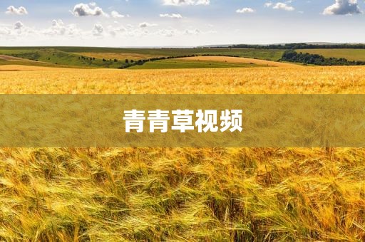 青青草视频