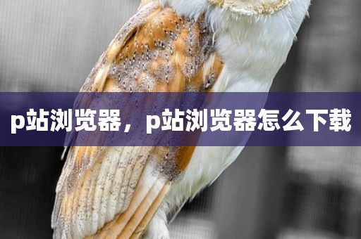 p站浏览器，p站浏览器怎么下载