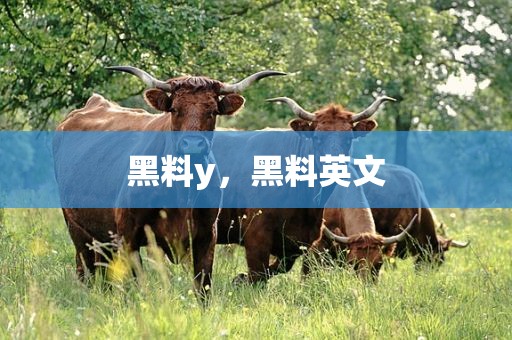 黑料y，黑料英文