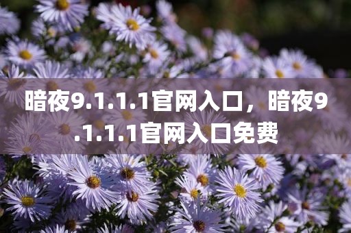 暗夜9.1.1.1官网入口，暗夜9.1.1.1官网入口免费