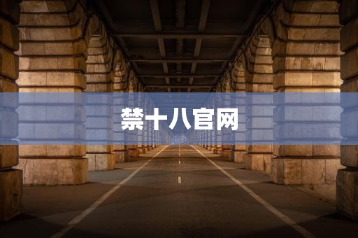 禁十八官网