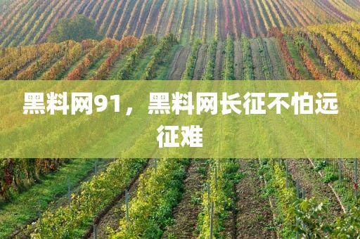 黑料网91，黑料网长征不怕远征难