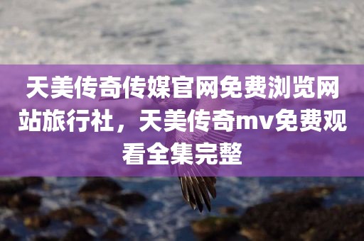 天美传奇传媒官网免费浏览网站旅行社，天美传奇mv免费观看全集完整