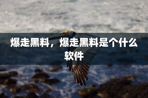 爆走黑料，爆走黑料是个什么软件