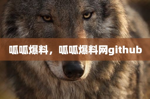 呱呱爆料，呱呱爆料网github