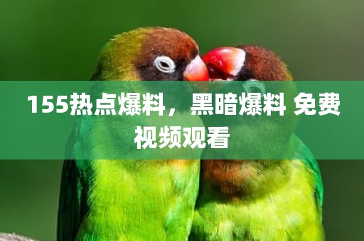 155热点爆料，黑暗爆料 免费视频观看