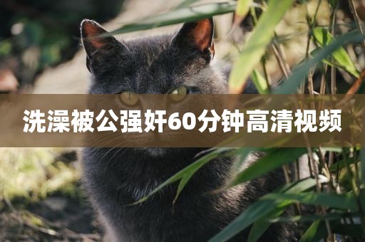 洗澡被公强奸60分钟高清视频