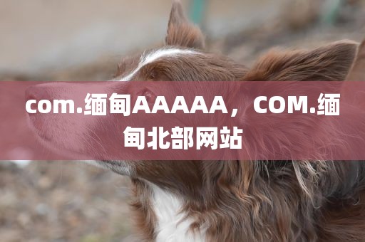 com.缅甸AAAAA，COM.缅甸北部网站