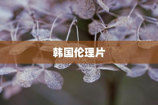 韩国伦理片