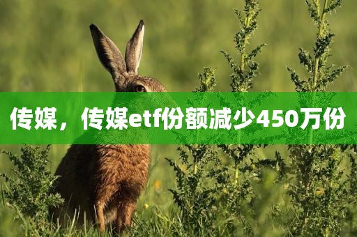 传媒，传媒etf份额减少450万份