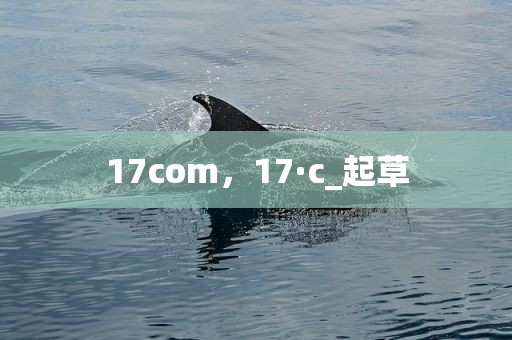 17com，17·c_起草