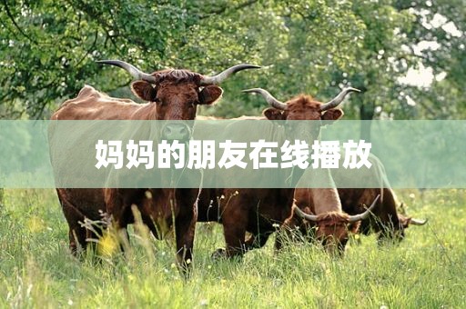 妈妈的朋友在线播放