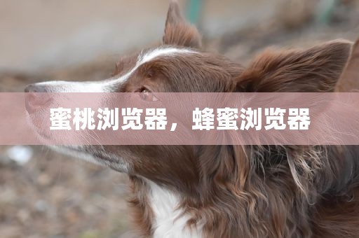 蜜桃浏览器，蜂蜜浏览器