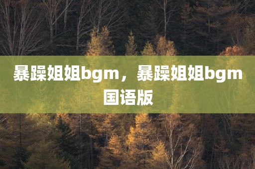 暴躁姐姐bgm，暴躁姐姐bgm国语版