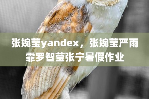 张婉莹yandex，张婉莹严雨霏罗智莹张宁暑假作业