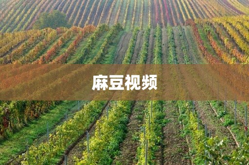 麻豆视频